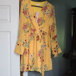 Nwt avec les filled dress